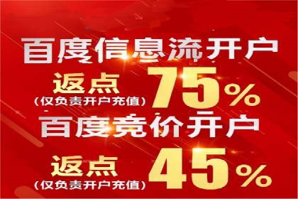 SEO技术突破：某网站流量暴增的背后故事